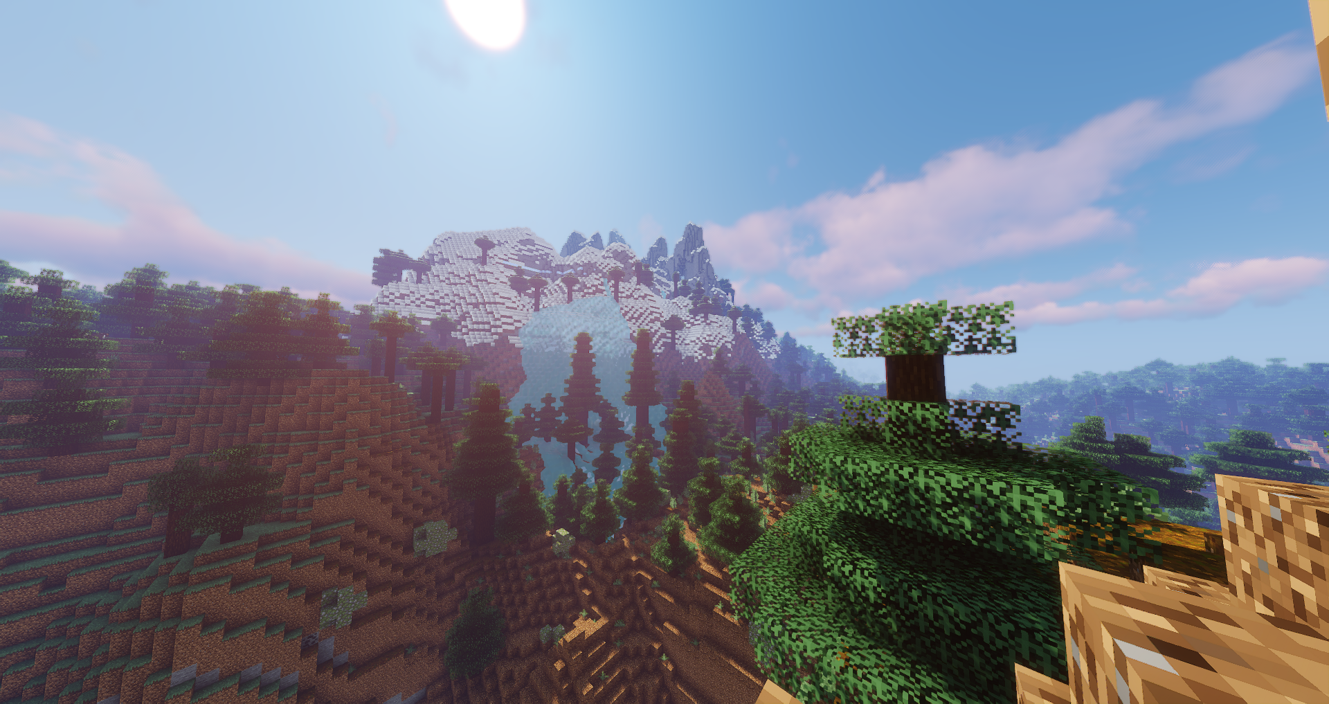 Survival image